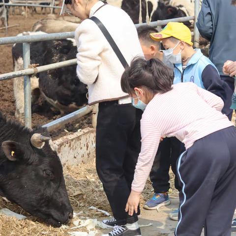 探索春天，去野自然——实验小学一年级2班一起“趣”研学