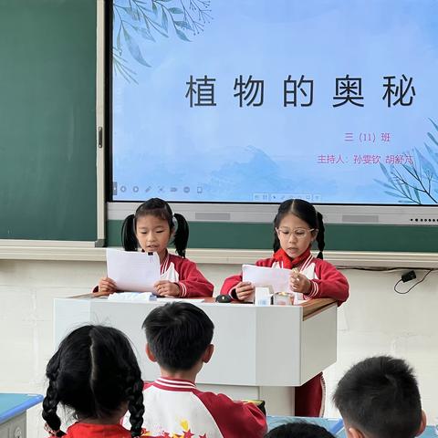 植物的奥秘—— 三（11）班主题班会