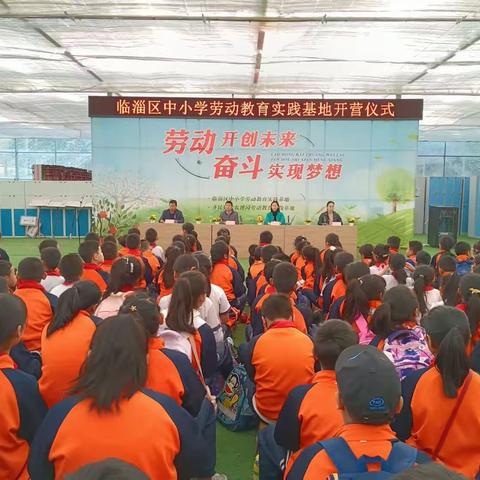 临淄区实验小学：四年级劳动小达人  开启劳动新篇章