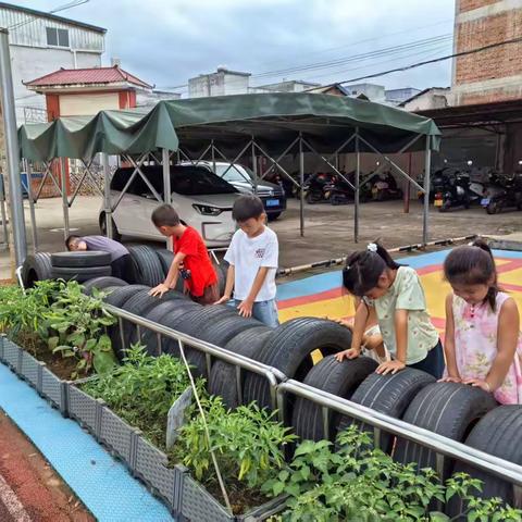 有趣的轮胎（副本）