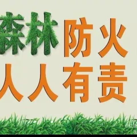 森林防火 人人有责，——长沙县开慧镇大花小学，森林防火知识宣传