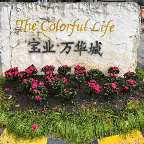 上海同进物业宝业万华城4月工作简报