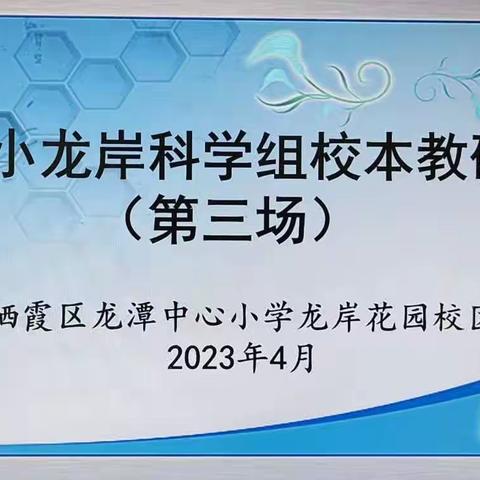 【灵美龙小·龙岸】基于工程任务的科学探究评价 ------龙小龙岸花园校区科学校本主题研修系列活动（三）