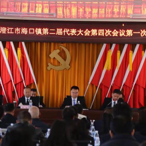 中国共产党澄江市海口镇第二届代表大会第四次会议胜利召开