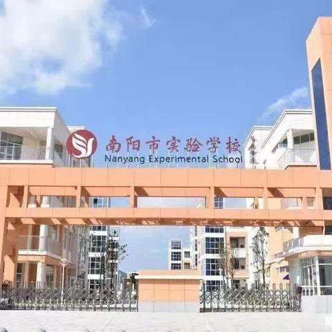 南阳市实验小学部 二（11）班执勤在行动，携手陪伴，护送前行！
