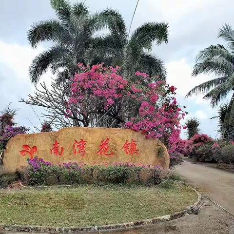 海南陵水南湾🌸镇