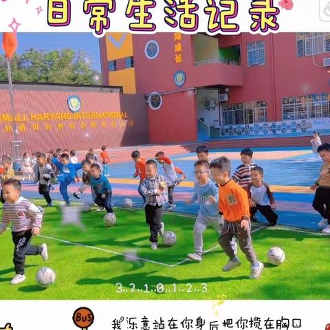 “小足球”“大梦想” 2023-2024学年足球4班精彩回顾