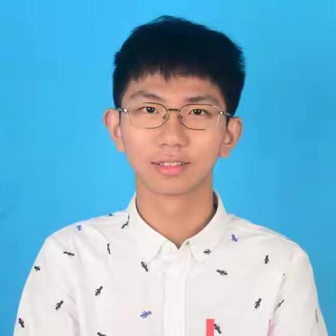 VBSE财务实践教学平台个人实训工作总结