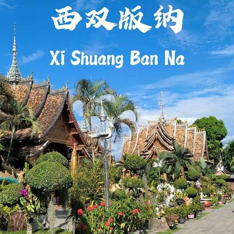 【西双版纳站】探秘动植物王国，一场说走就走的旅行