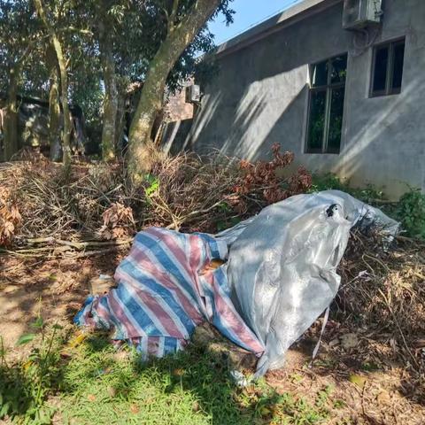 大东村委会山佳谷村人居环境问题整治工作