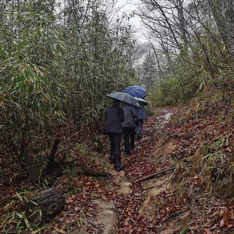 送教上门风雨无阻