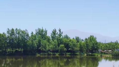 魏寨街道开展“跟着河湖长去巡河”主题活动
