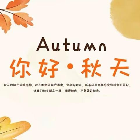 自然美育 |关于秋天的落叶课程故事——一叶知秋•叶落情深 🍂