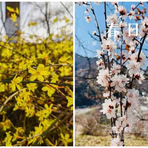 雅言传承文明，经典浸润人生——御驾宫九年制学校读书分享活动