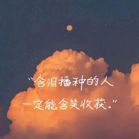 青禾十一班——第十七周总结