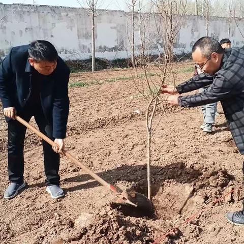 勤躬耕培育希望  乐动手绿意萌动        ----王召中心小学劳动实践基地植树活动