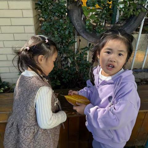 【小一班】我们与西瓜虫的故事