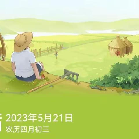 小满🌾|【时在小满，收获满满】釜阳幼儿园“二十四节气•小满”主题活动