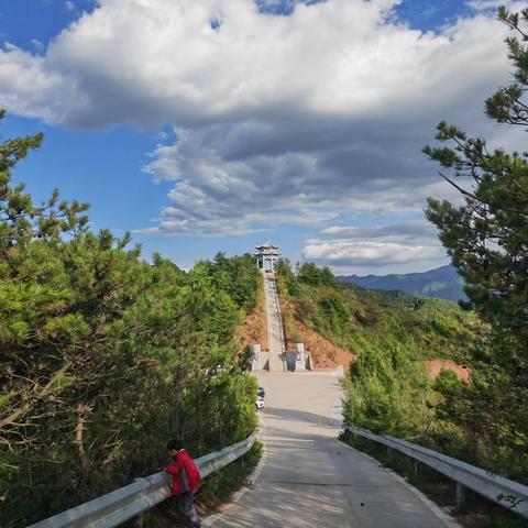 且以闲情写岁月，愿与天地共清欢