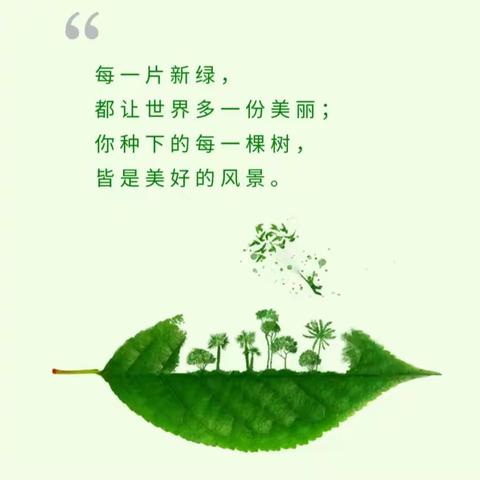 我植树，我快乐