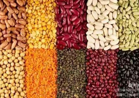 第五桥小学 ——学生营养日宣传手册