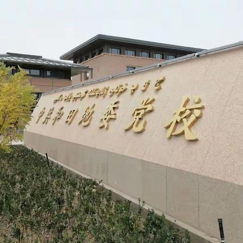 “锤炼党性·铸牢师魂”主题党日活动