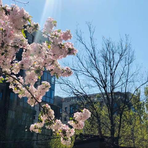 春暖花开好时节  春趣盎然春分至
