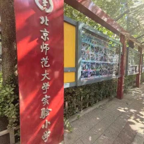 实践交流 悟行相长——开班第四天神农架林区班主任日记