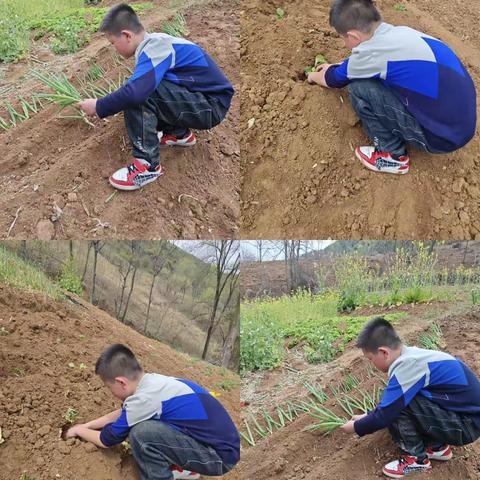 劳动创造美    实践促成长 一一记吕河镇中心学校五二班家务劳动实践作业