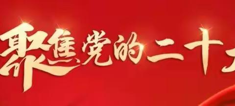 保定市非公党委组织非公企业党员收看中国共产党第二十次全国代表大会开幕会