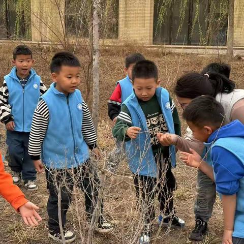 【通贵三幼】“清明融情，浸润童心”——幼儿园清明节主题系列活动