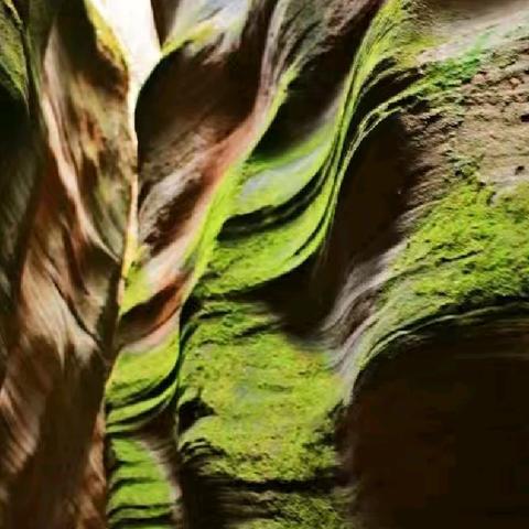 猫项大峡谷，永宁千年古寨，刘志丹陵园，保安革命旧址纯玩二日游