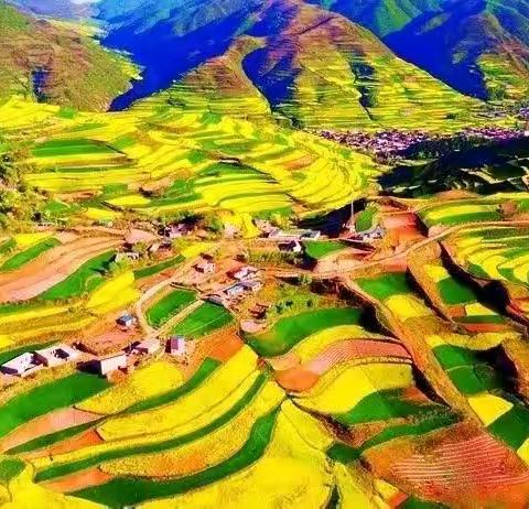 五一甘肃武山万亩梯田油菜花海、水帘洞景区、麦积山石窟、伏羲庙、天水古城纯玩三日游