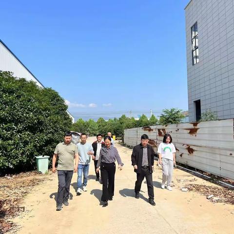 县长颜萍调研园区重点项目建设情况
