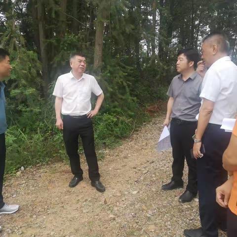 市委常委、县委书记彭银贵调研园区项目建设情况