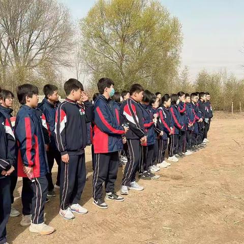 一年“植”季在于春--凌云29班“植树”劳动教育实践活动