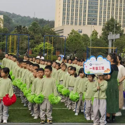 文明其精神，野蛮其体魄—雨城九小一年级三班春季运动会剪影