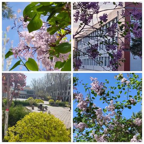 春色恰如许，人间四“阅”天