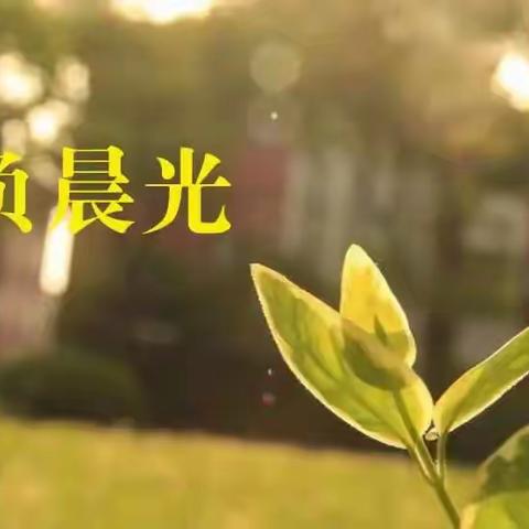 “英”研促教，“语”研同行——记荥阳市第一小学英语大组教研活动