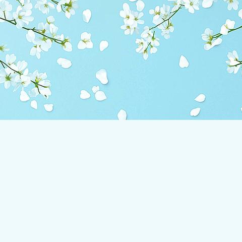 为者常成，行者常至 高二2303班2025年春季学期总结