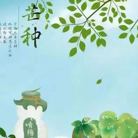 【芒种至 仲夏始】 二十四节气之芒种 （栖凤一幼小班组）