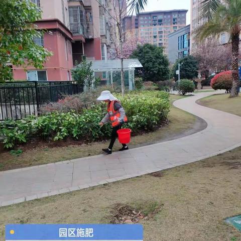 践行服务初心 致力城市美好丨东原物业3月工作简报