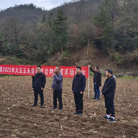 天桥镇组织召开2023年大豆玉米带状复合种植技术培训会
