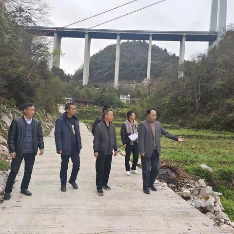 县人大常委会副主任候兴强到天桥镇督查指导蚕桑产业工作