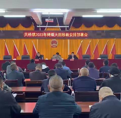 天桥镇召开2023年烤烟移栽现场会