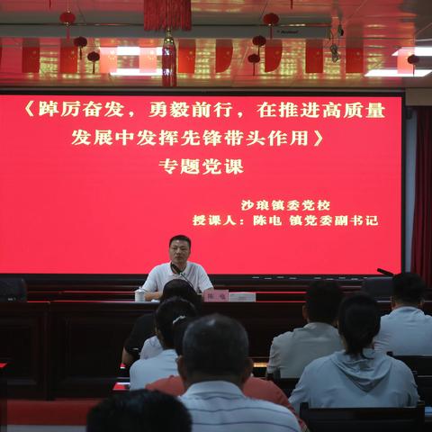 沙琅镇召开网格化管理、组团式服务工作推进会暨 党务工作培训会