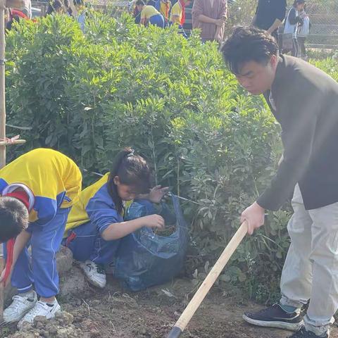 育见劳动 点亮成长-五一中队种植记