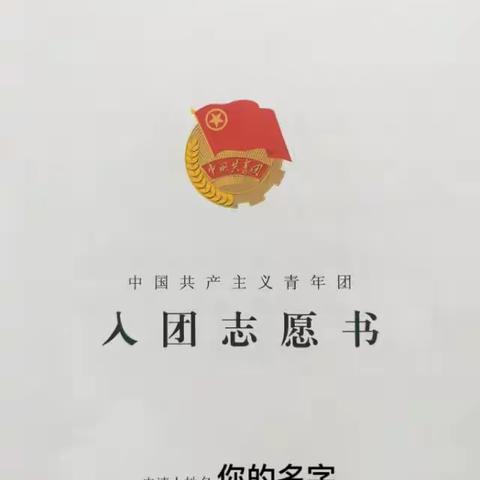 入团志愿书