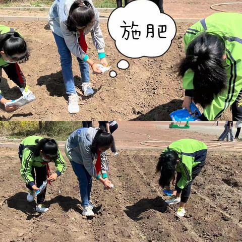 【西小•劳动】春日播种日记2——双城区西官镇中心小学春耕种植园活动纪实