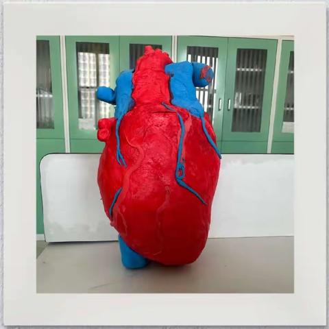 有“模”有样，千“型”万状     ——生物学科优秀作业展示